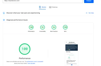 100 score on Google PageSpeed