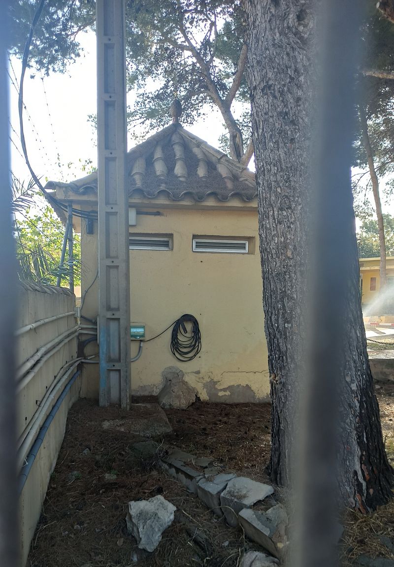 pareidolia