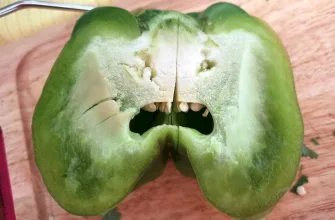 pareidolia objects with face bell pepper