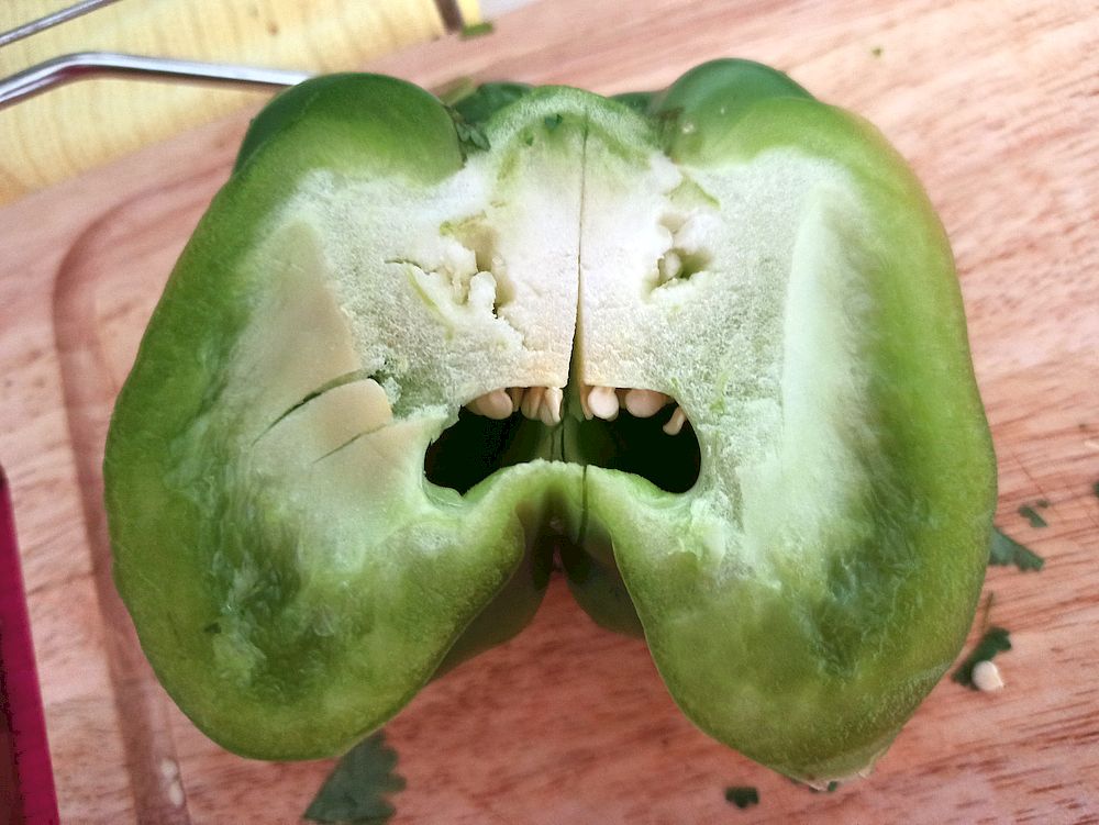 pareidolia objects with face bell pepper