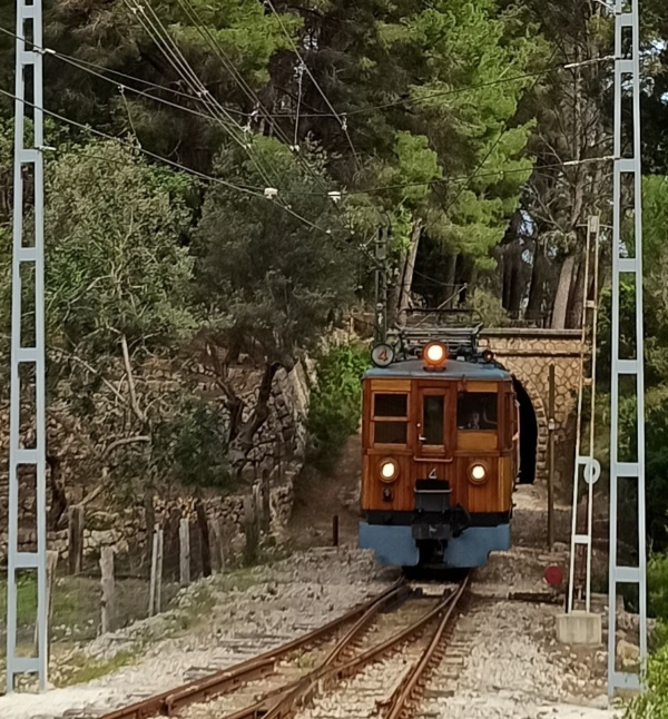 surprised tram