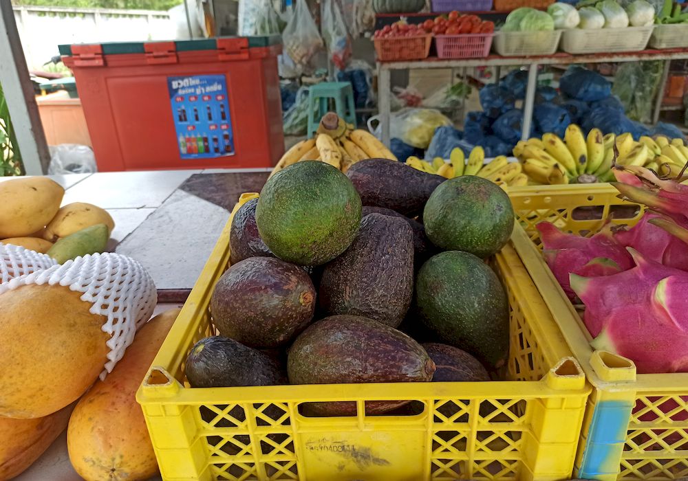 avocado in Thailand