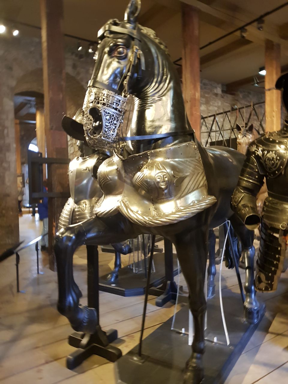 horse in armor