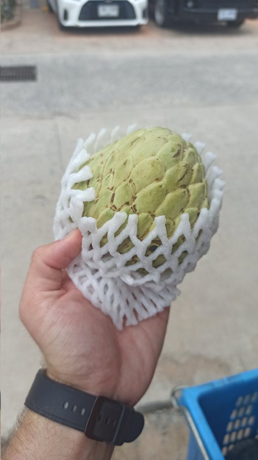 noyna fruit
