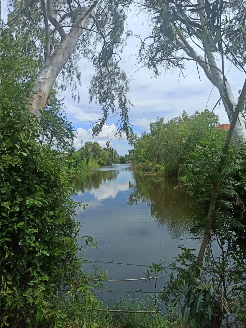 Cyprus or Thailand – which is better? Here’s my personal experience living in both countries!