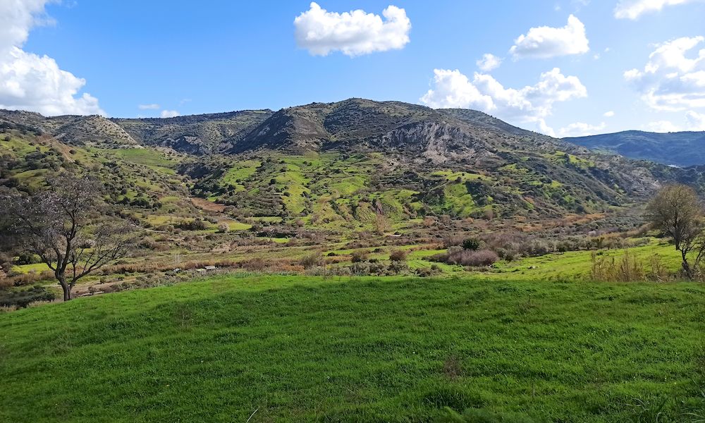 green Cyprus in January