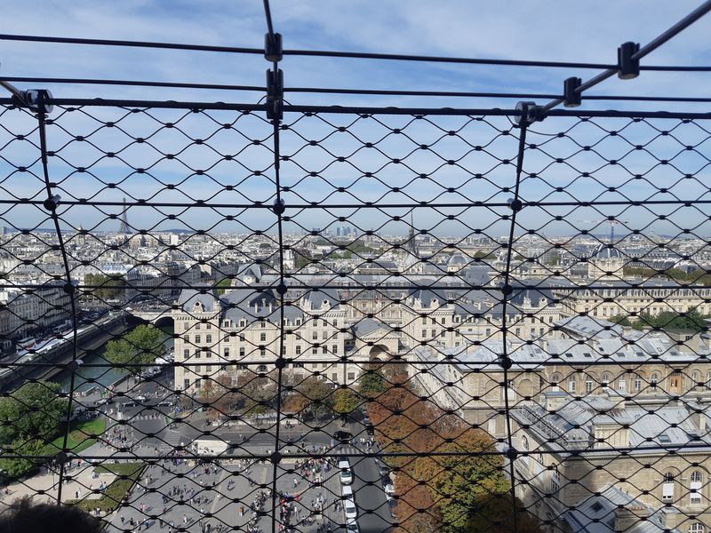 At the top of Notre-Dame de Paris