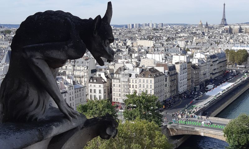 Paris chimeras
