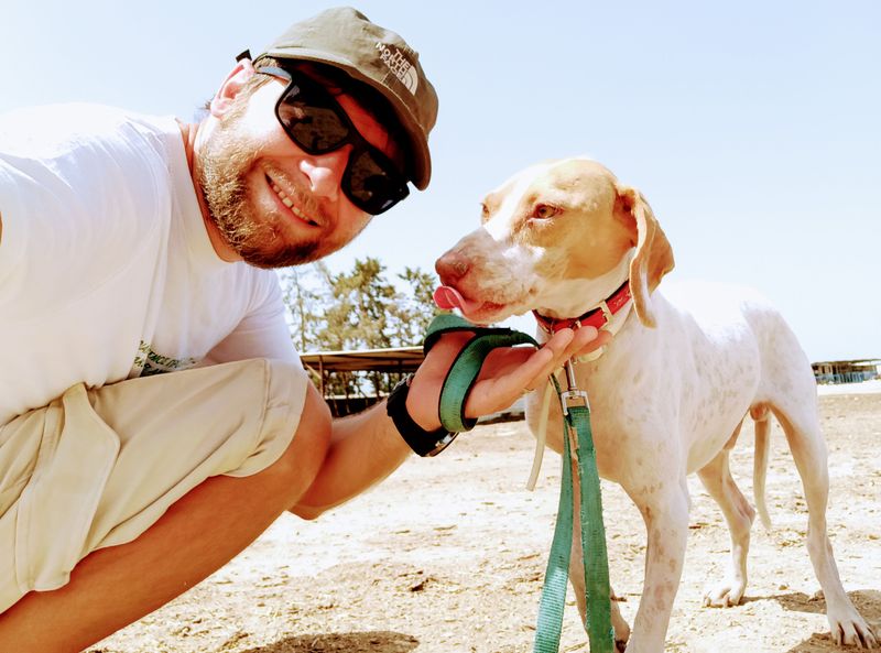 volunteering at an animal shelter - paphos cyprus paphiakos animal shelter